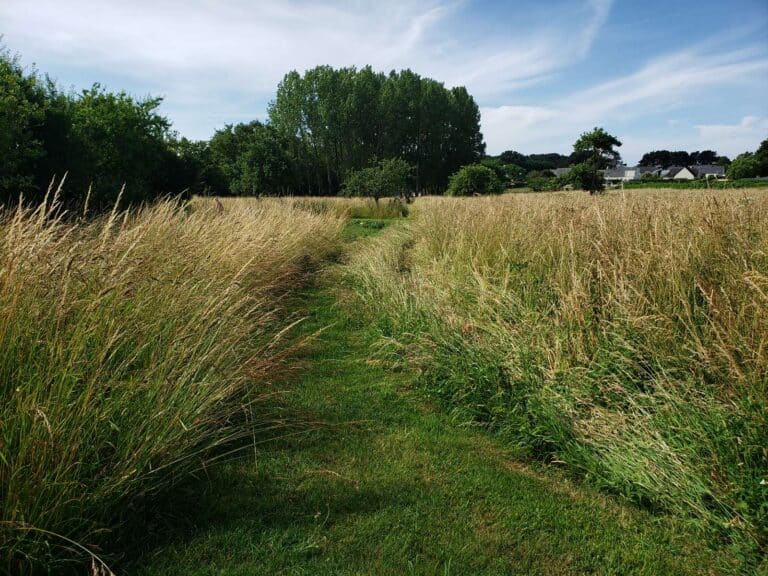 Etude d'impact environnemental diagnostic pollution Bretagne