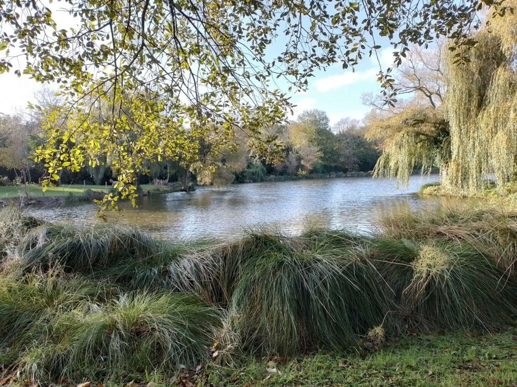 Etang 3 - Concarneau Bretagne