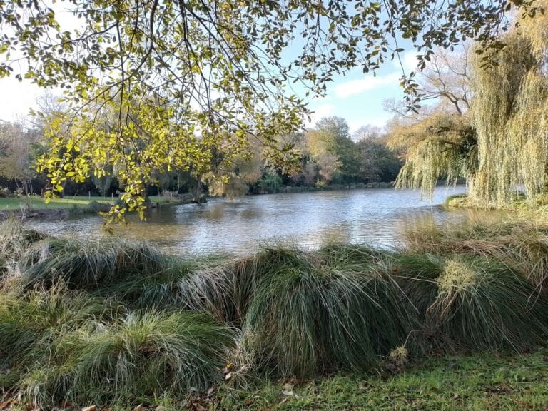 Etang 3 - Concarneau Bretagne
