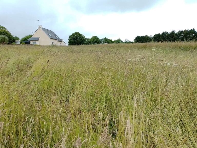 Etude pedologique d une parcelle - Concarneau Bretagne
