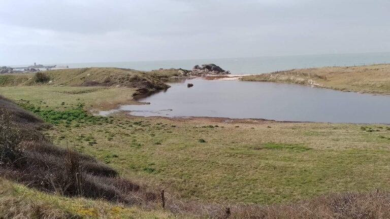 Evaluation des incidences Natura 2000 - Concarneau Bretagne