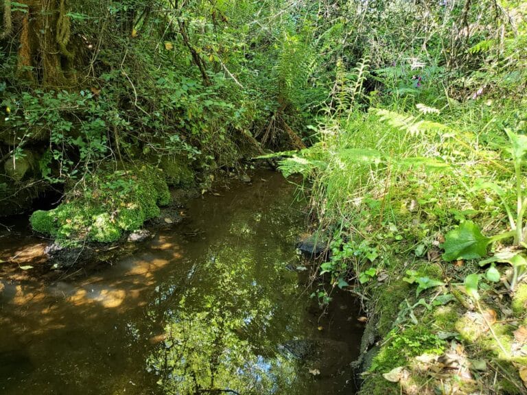 Ruisseau - Concarneau Bretagne