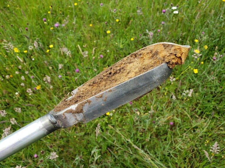 Sondage pour delimitation de zone humide - Concarneau Bretagne