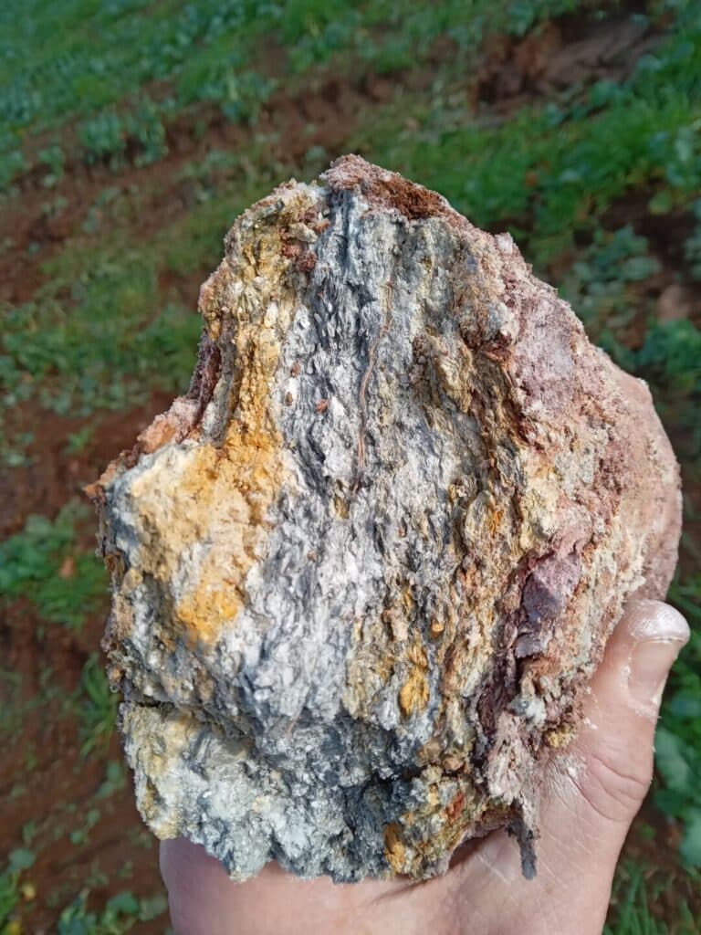 pedo carottier 1 - Concarneau Bretagne