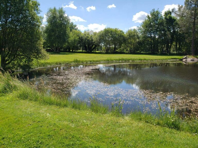 Etang - Concarneau Bretagne